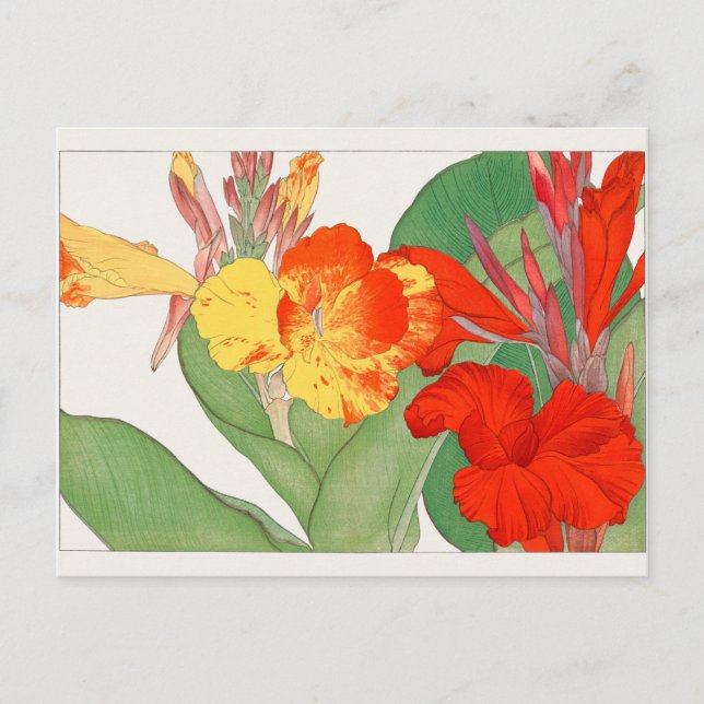 Canna by Tanigami Konan Postcard (Front)