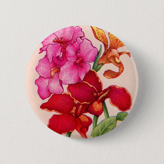 canna flowers button (Front)