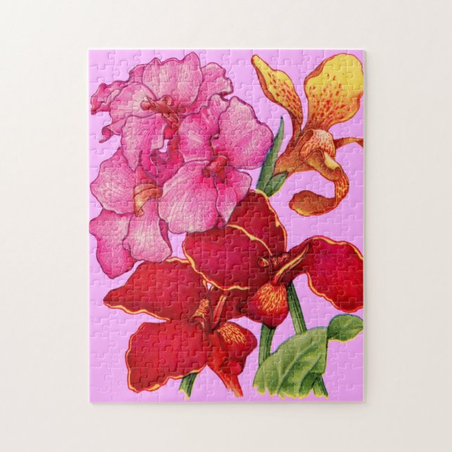 canna flowers jigsaw puzzle (Vertical)