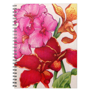 canna flowers notebook