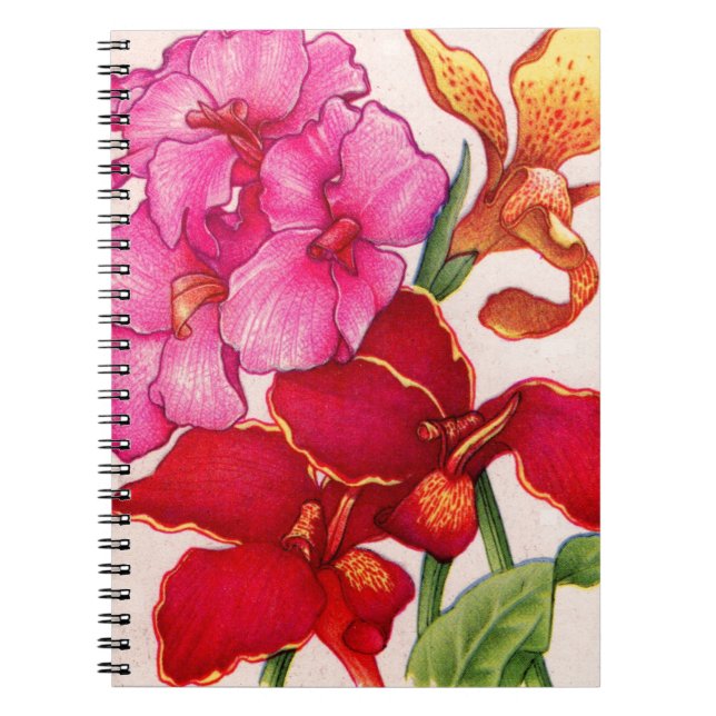 canna flowers notebook (Front)