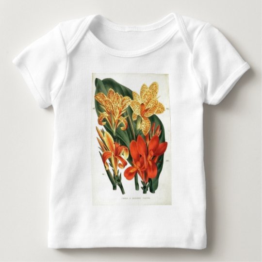 Canna Hybrids - Botanical Art Baby T-Shirt