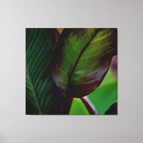 CANNA LEAVES Wrapped Canvas