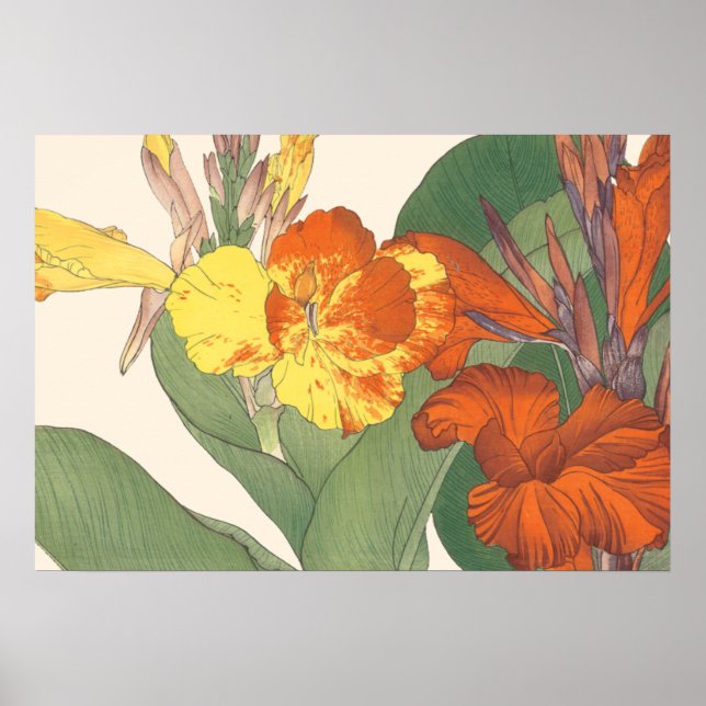 Canna Lily Poster (Front)