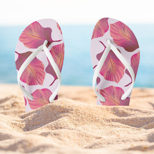 Canna Tropicanna Leaves in Pink Flip Flops