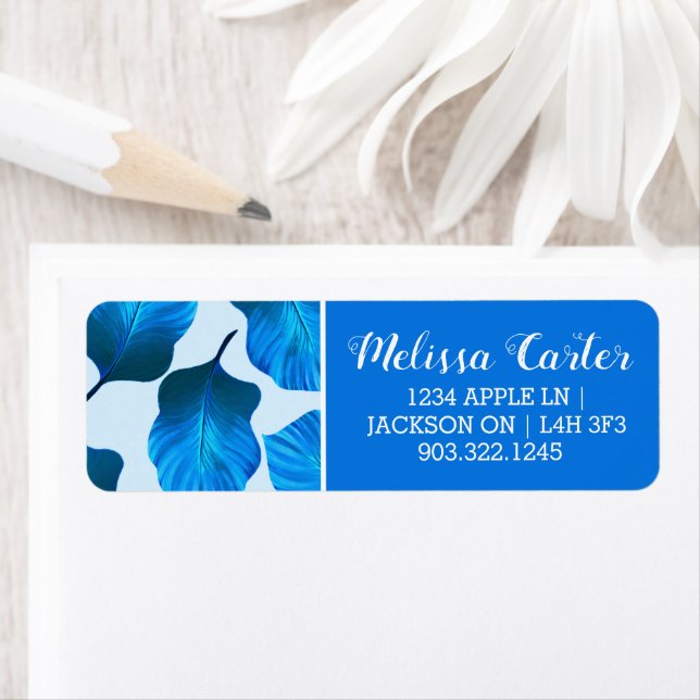 Canna Tropicanna Tropical Leaves in Blue Label (Insitu)