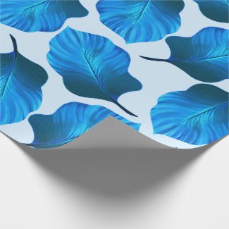 Canna Tropicanna Tropical Leaves in Blue