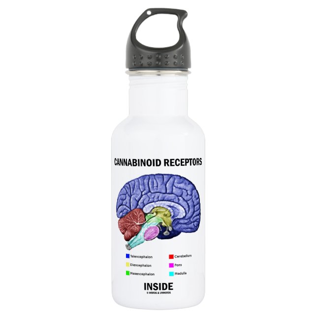 Cannabinoid Receptors Inside (Brain Anatomy) Water Bottle (Front)
