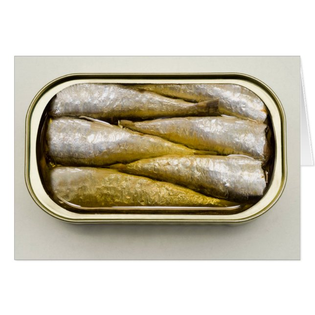 Canned Sardines (Front Horizontal)