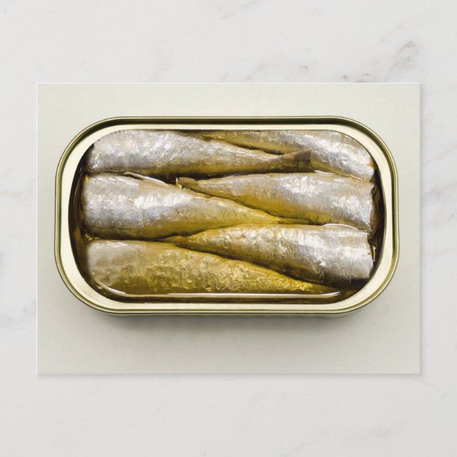 Canned Sardines Postcard (Front)