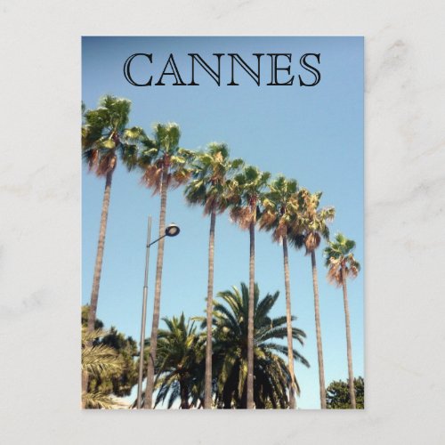 cannes palm trees postcard