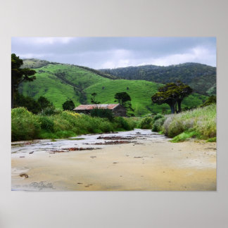 Cannibal Bay : Caitlins : New Zealand Poster