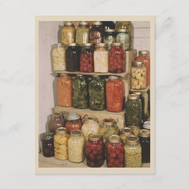 Canning and Preserving Full Jars of Food Photo Postcard (Front)