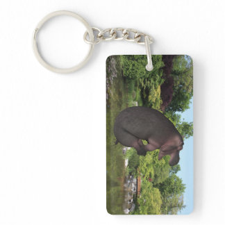 Cannonball Hippo Keychain