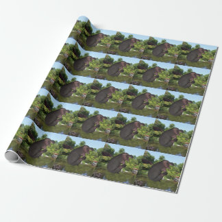 Cannonball Hippo Wrapping Paper