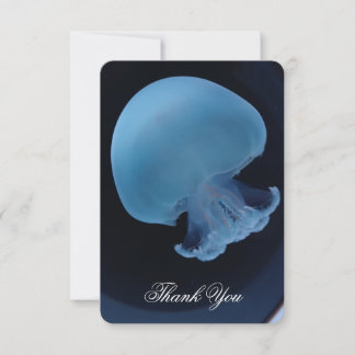 Cannonball Jellyfish Full Color Thank You card