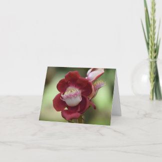 Cannonball tree flower. thank you card