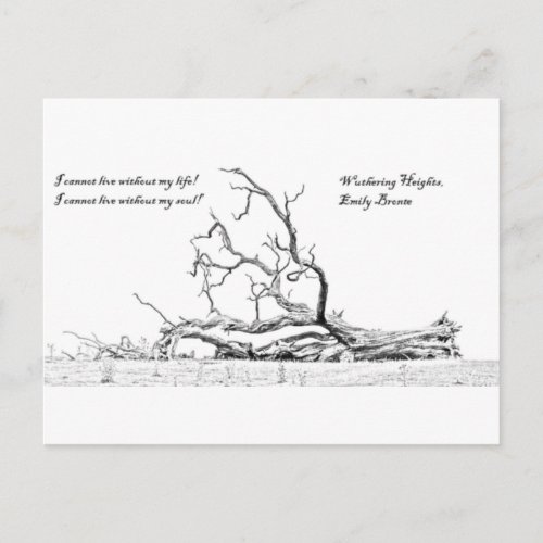 Cannot Live Without My Soul Wuthering Heights Postcard