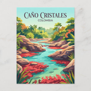 Caño Cristales Colombia Postcard