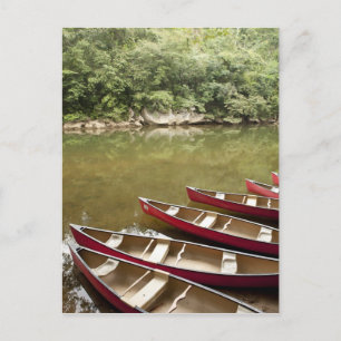 Canoeing the Macal River, Belize Postcard