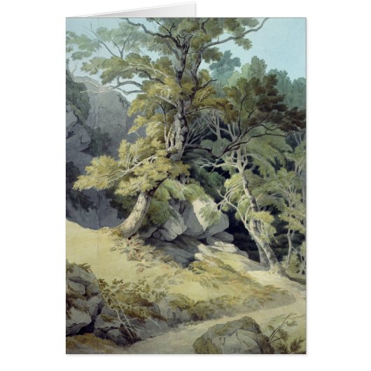Canonteign, Devon Cards (Front)