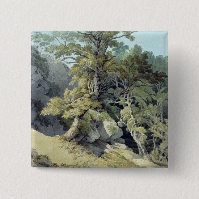 Canonteign, Devon Pinback Button (Front)