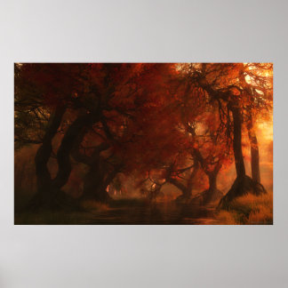 Canopy Creek (Autumn) Poster