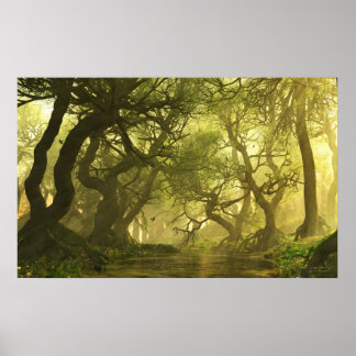 Canopy Creek Spring Poster