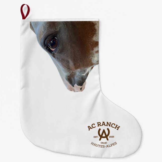 canopy large christmas stocking (Front)