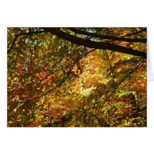 Canopy of Fall Leaves I Yellow Autumn Nature Cards