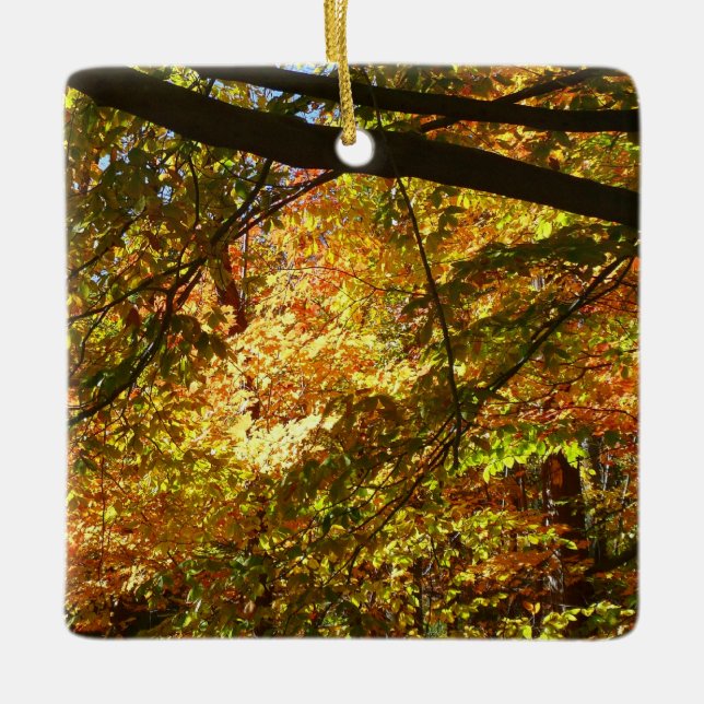 Canopy of Fall Leaves I Yellow Autumn Nature Ceramic Ornament (Front)