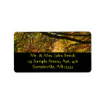 Canopy of Fall Leaves I Yellow Autumn Nature Label