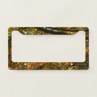 Canopy of Fall Leaves I Yellow Autumn Nature License Plate Frame