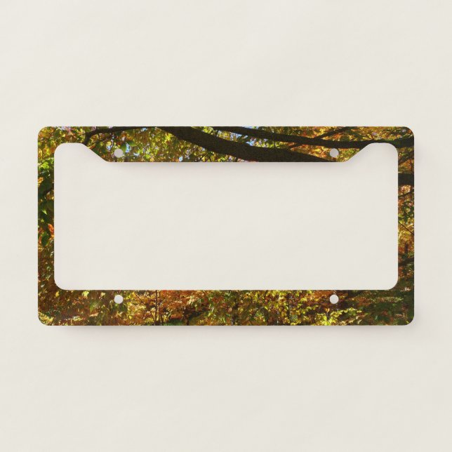 Canopy of Fall Leaves I Yellow Autumn Nature License Plate Frame (Front)
