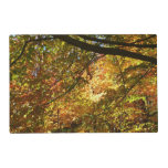 Canopy of Fall Leaves I Yellow Autumn Nature Placemat