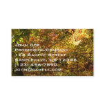 Canopy of Fall Leaves II Yellow Autumn Photography Business Card