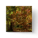 Canopy of Fall Leaves II Yellow Autumn Photography Button