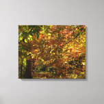 Canopy of Fall Leaves II Yellow Autumn Photography Canvas Print