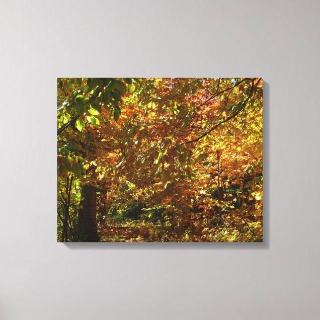Canopy of Fall Leaves II Yellow Autumn Photography Canvas Print (Front)