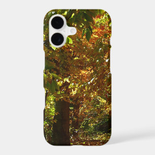 Canopy of Fall Leaves II Yellow Autumn Photography iPhone 17 Case