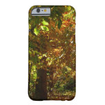 Canopy of Fall Leaves II Yellow Autumn Photography Barely There iPhone 6 Case