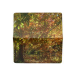 Canopy of Fall Leaves II Yellow Autumn Photography Checkbook Cover
