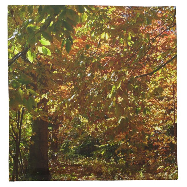 Canopy of Fall Leaves II Yellow Autumn Photography Cloth Napkin (Front)