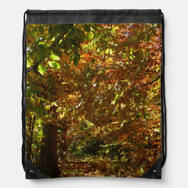 Canopy of Fall Leaves II Yellow Autumn Photography Drawstring Bag (Front)