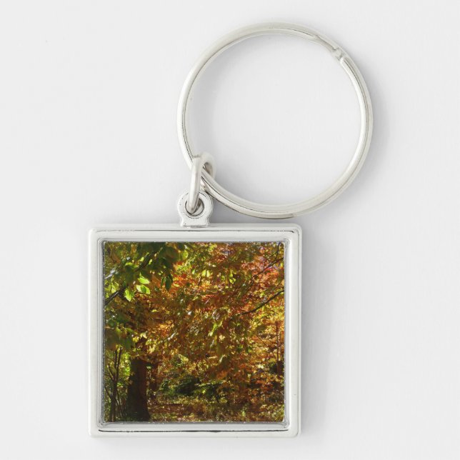 Canopy of Fall Leaves II Yellow Autumn Photography Keychain (Front)