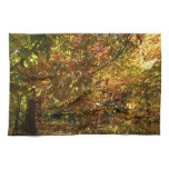 Canopy of Fall Leaves II Yellow Autumn Photography Kitchen Towel