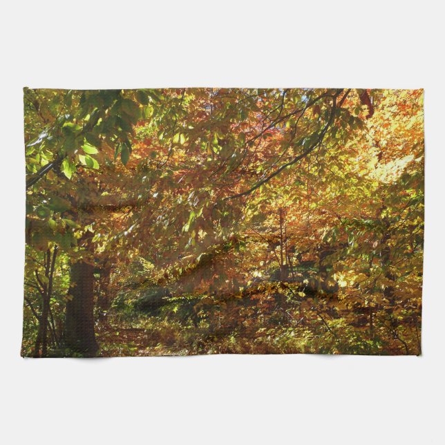 Canopy of Fall Leaves II Yellow Autumn Photography Kitchen Towel (Horizontal)