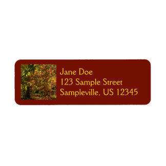 Canopy of Fall Leaves II Yellow Autumn Photography Label