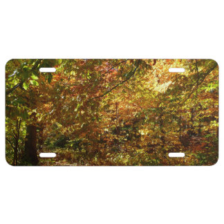 Canopy of Fall Leaves II Yellow Autumn Photography License Plate