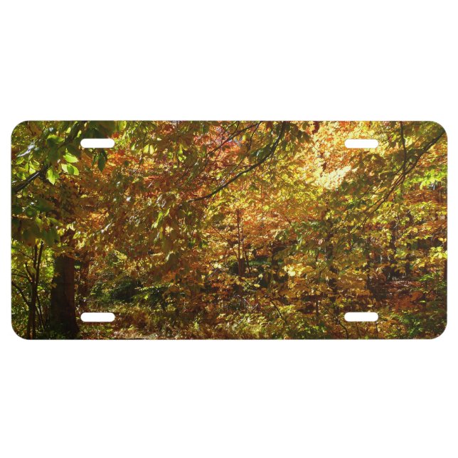 Canopy of Fall Leaves II Yellow Autumn Photography License Plate (Front)